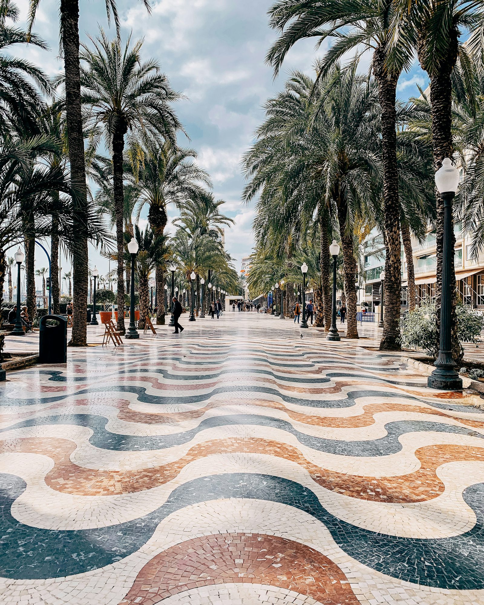 Alicante palm-lined paseo
