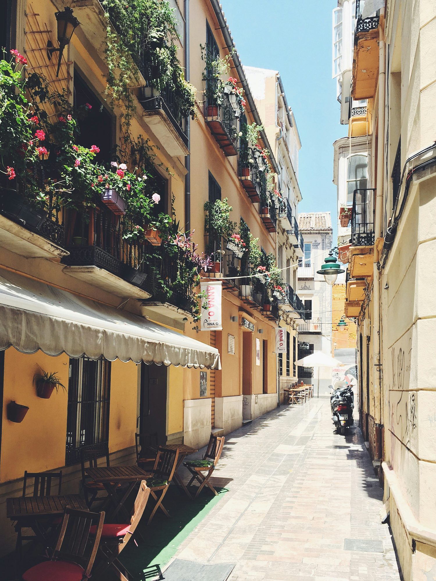 Andalusian café street, Málaga